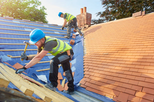 Best Skylight Installation and Repair  in St Paul, VA